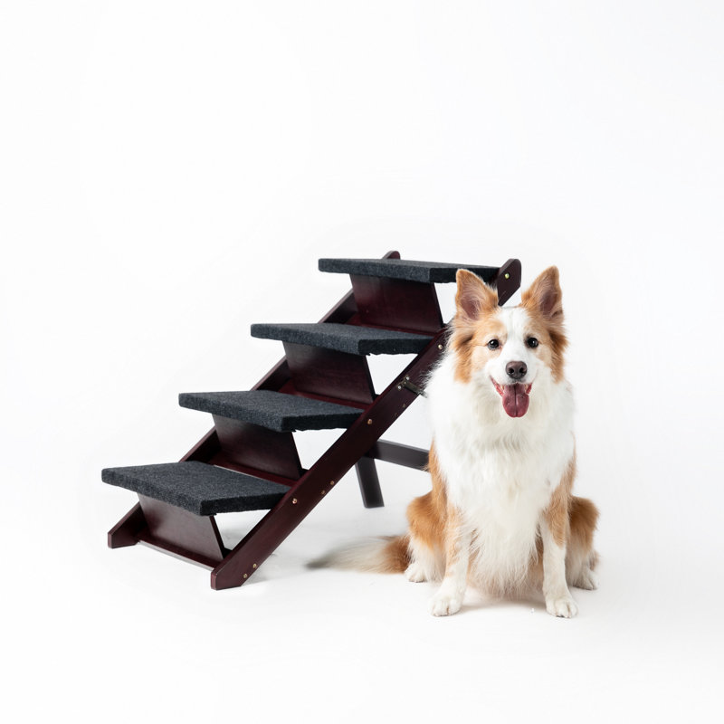 Tucker Murphy Pet Wood Pet Stairs Pet Steps Foldable Dog Stairs Ramp Perfect For Beds And Cars Portable Dog Cat Ladder Up To 110 Pounds